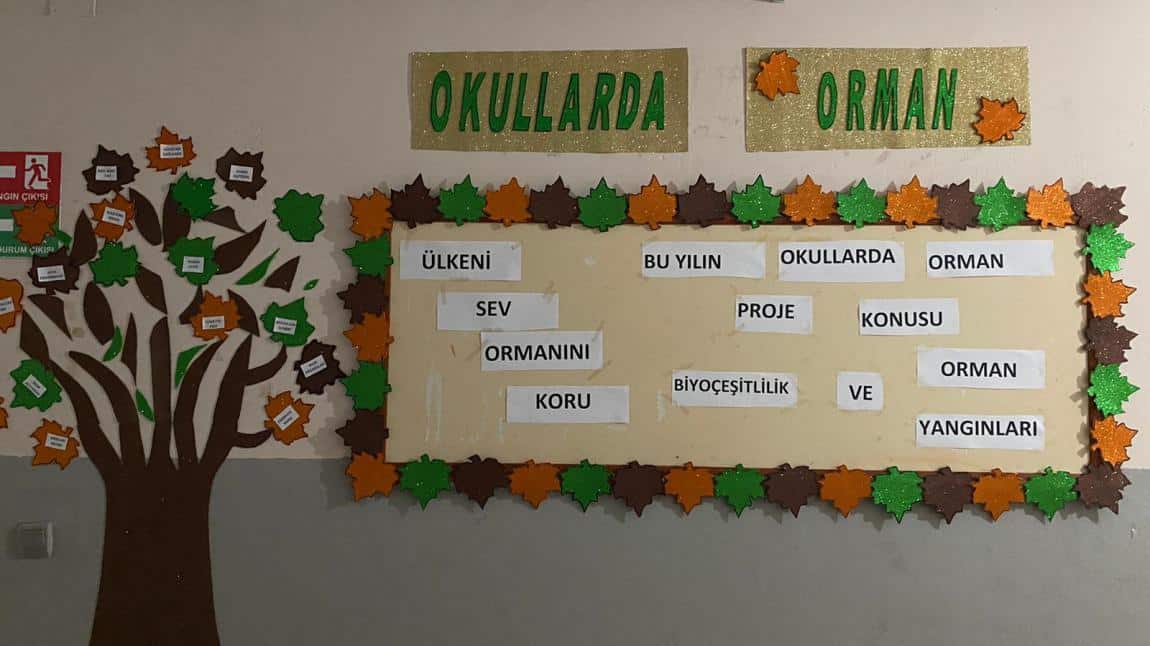 TURÇEV'in Yürüttüğü Okullarda Orman Programı  Okulumuzda Ekim Ayında Uygulanmaya Başladı